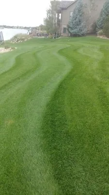 Manicure Lawns and Irrigation Logo