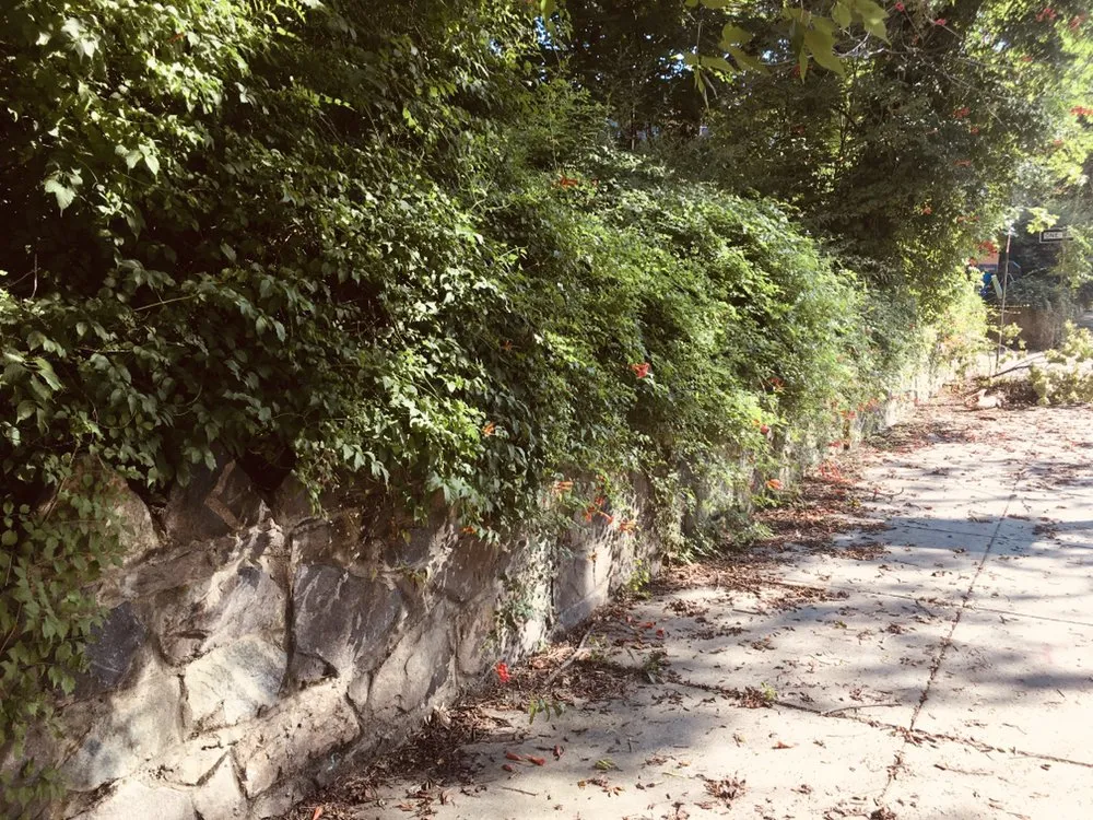 Local yard cleanup service in Baltimore, MD - Manicured Grounds