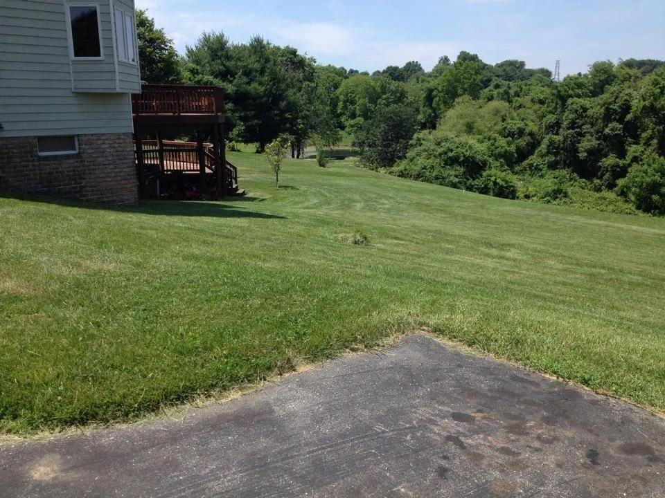 Custom landscape design near you in Baltimore, MD by Manicured Grounds