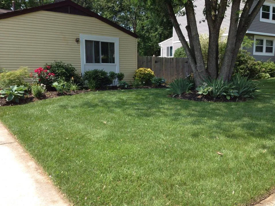 Top-rated garden landscaping for outdoor upgrades across Baltimore, MD - Manicured Grounds