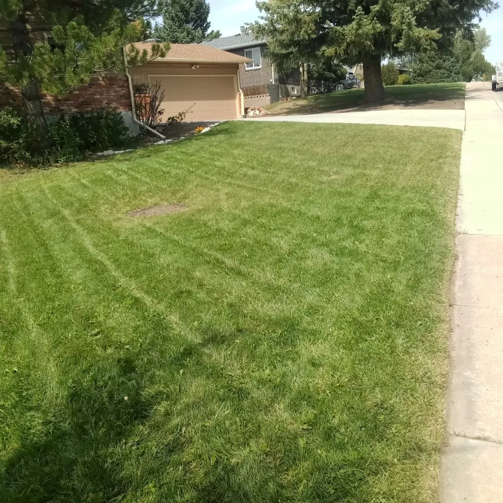 Professional lawn mowing service in Cheyenne, WY - Manicured Lawn Care