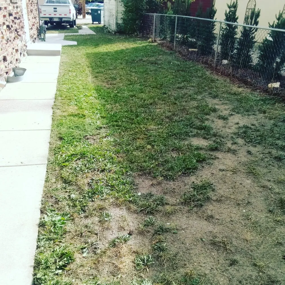 Local landscape design for year-round maintenance across Cheyenne, WY - Manicured Lawn Care