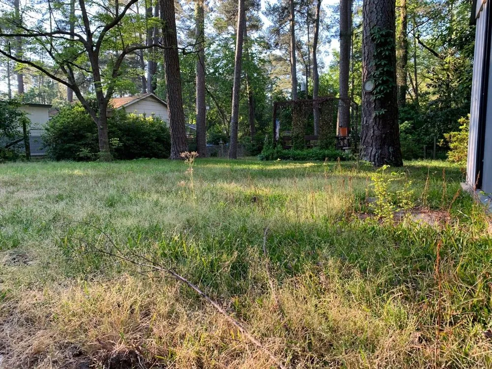 Top-rated lawn mowing service in Columbia, SC - Manicured Lawns