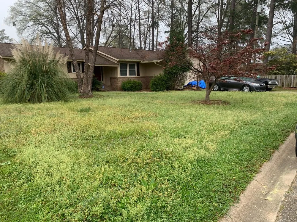 Local yard cleanup service in Columbia, SC by Manicured Lawns