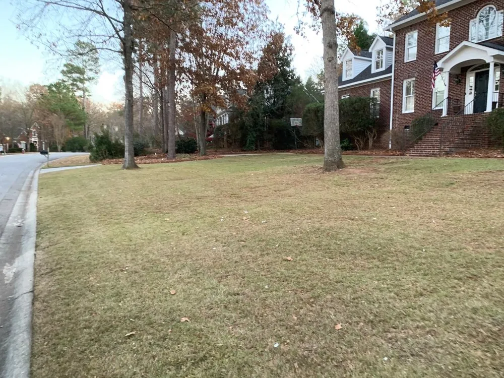Reliable lawn care service in Columbia, SC - Manicured Lawns