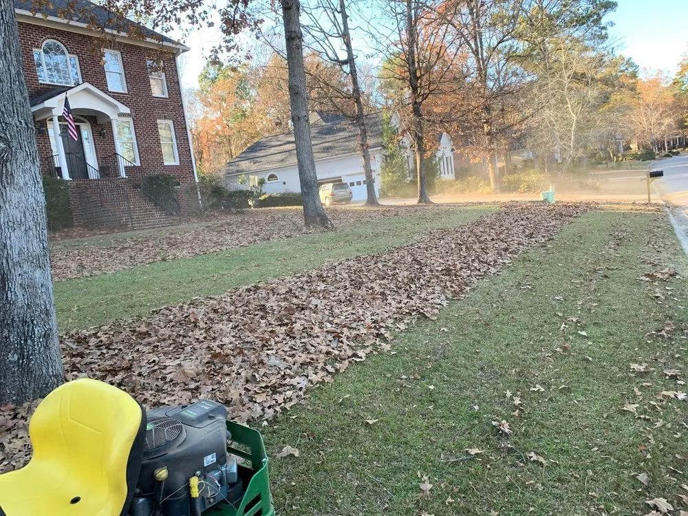 Top-rated yard cleanup service experts serving Columbia, SC - Manicured Lawns