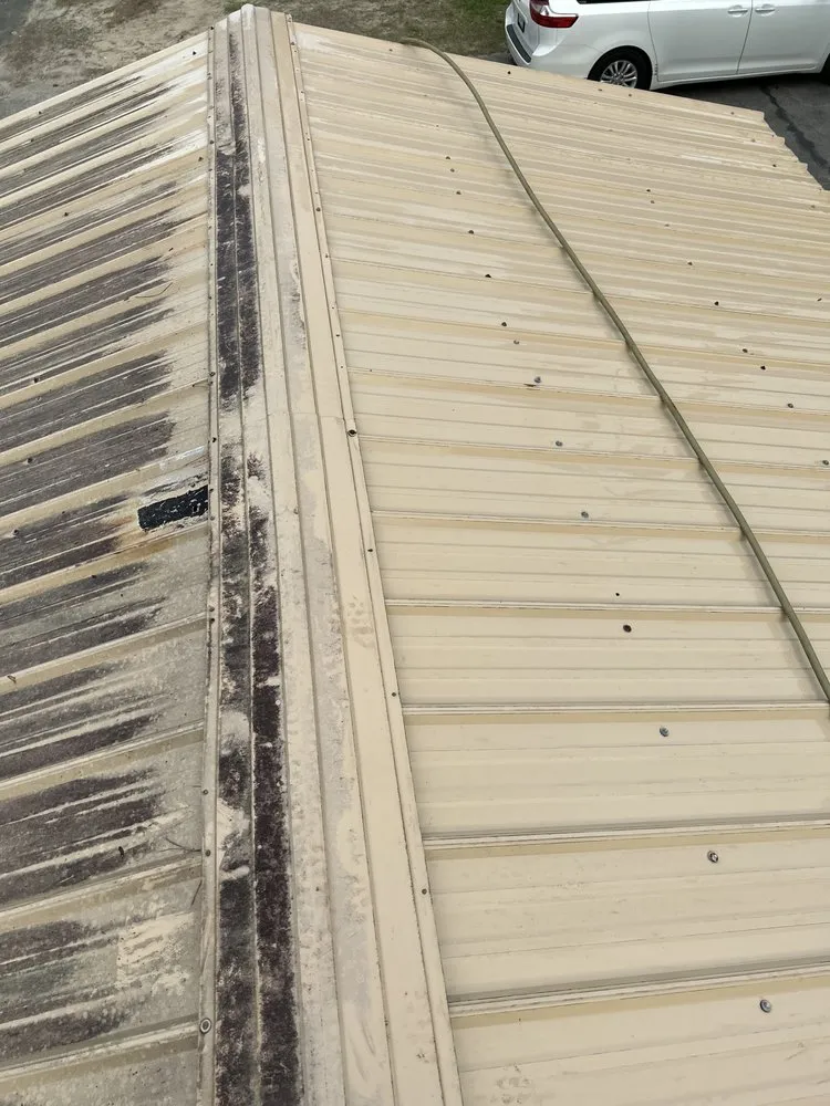 Local yard cleanup service in Myrtle Beach, SC - Manigault Landscaping Tree Removal