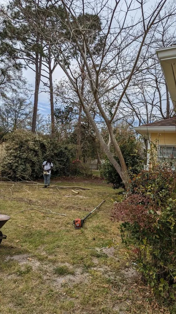 Local garden landscaping for beautiful yards across Myrtle Beach, SC - Manigault Landscaping Tree Removal