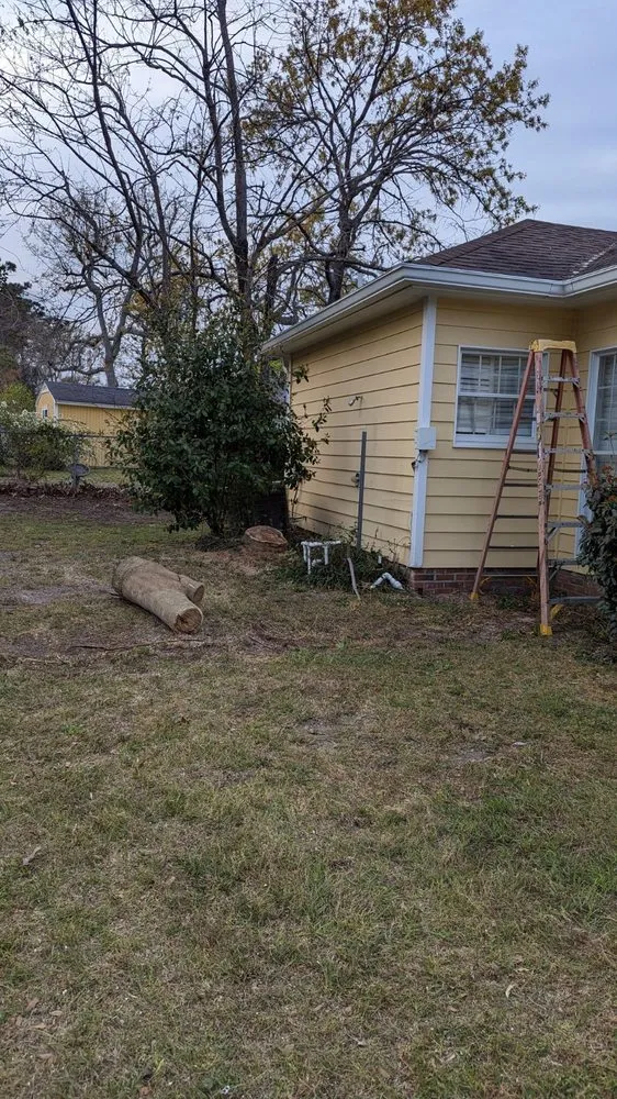 Professional landscape installation in Myrtle Beach, SC - Manigault Landscaping Tree Removal