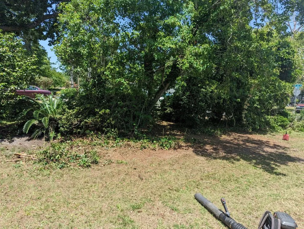 Top-rated garden landscaping in Myrtle Beach, SC by Manigault Landscaping Tree Removal