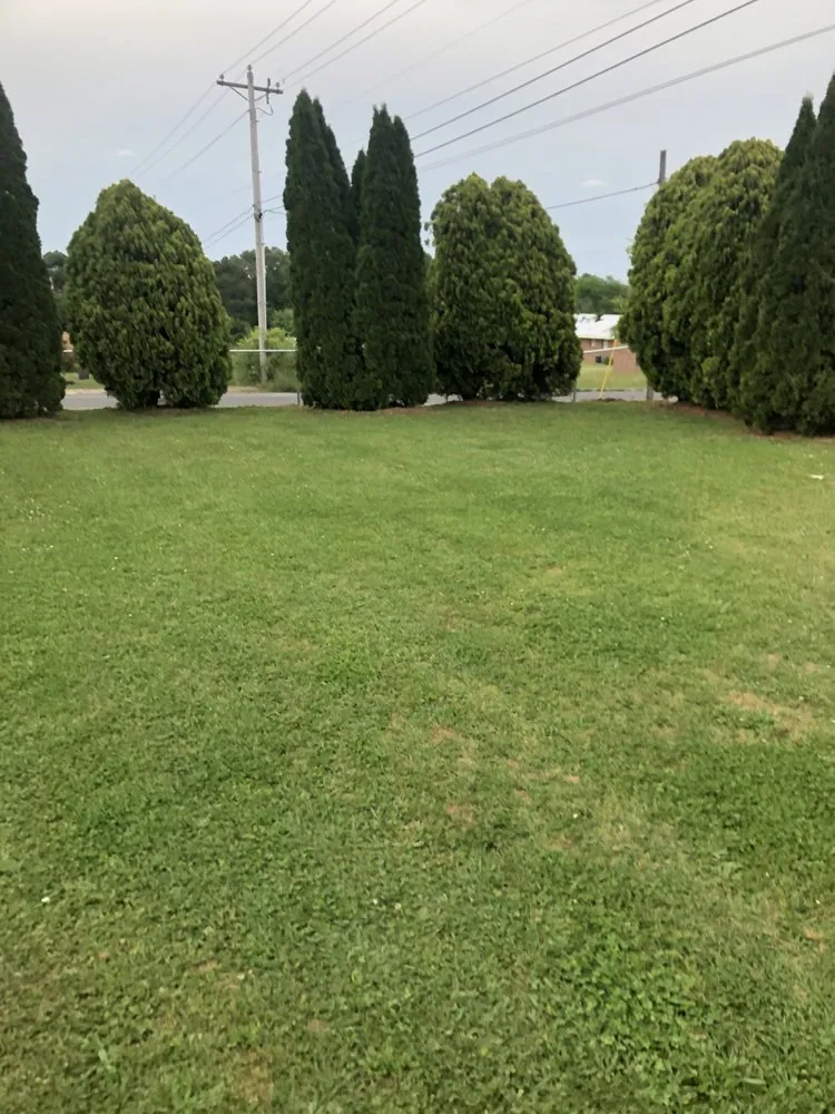 Trusted yard cleanup service in Dalton, GA by Manis lawn care