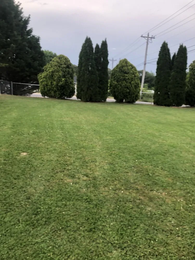 Professional landscaping services in Dalton, GA - Manis lawn care