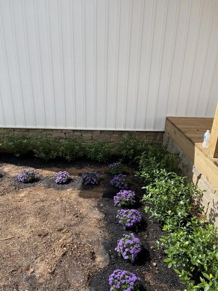 Local lawn mowing service in Dalton, GA - Manis lawn care