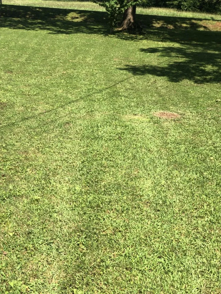 Trusted garden landscaping for residential properties across Dalton, GA - Manis lawn care