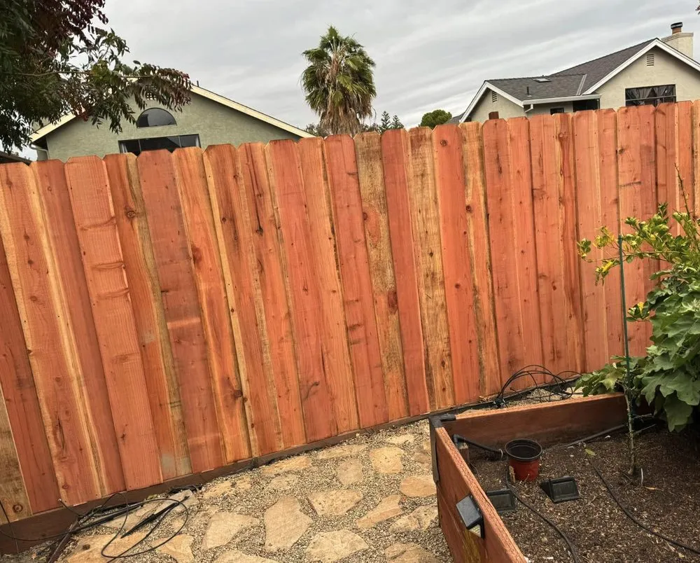 Reliable lawn mowing service near you across Antioch, CA - Mani’s Tree Services