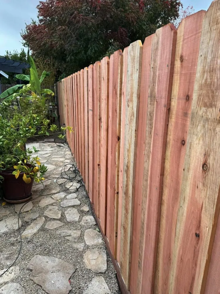 Trusted landscaping services in Antioch, CA by Mani’s Tree Services