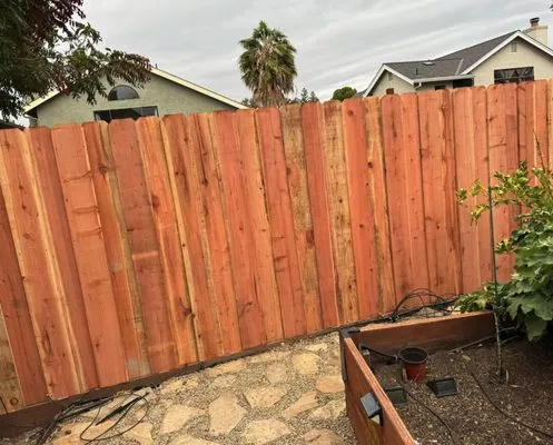 Mani’s Tree Services Logo