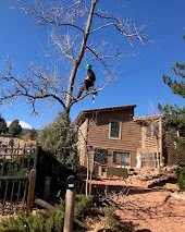 Expert outdoor landscaping for beautiful yards across Manitou Springs, CO - Manitou Tree