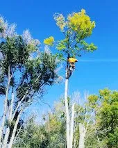 Professional garden landscaping in Manitou Springs, CO by Manitou Tree