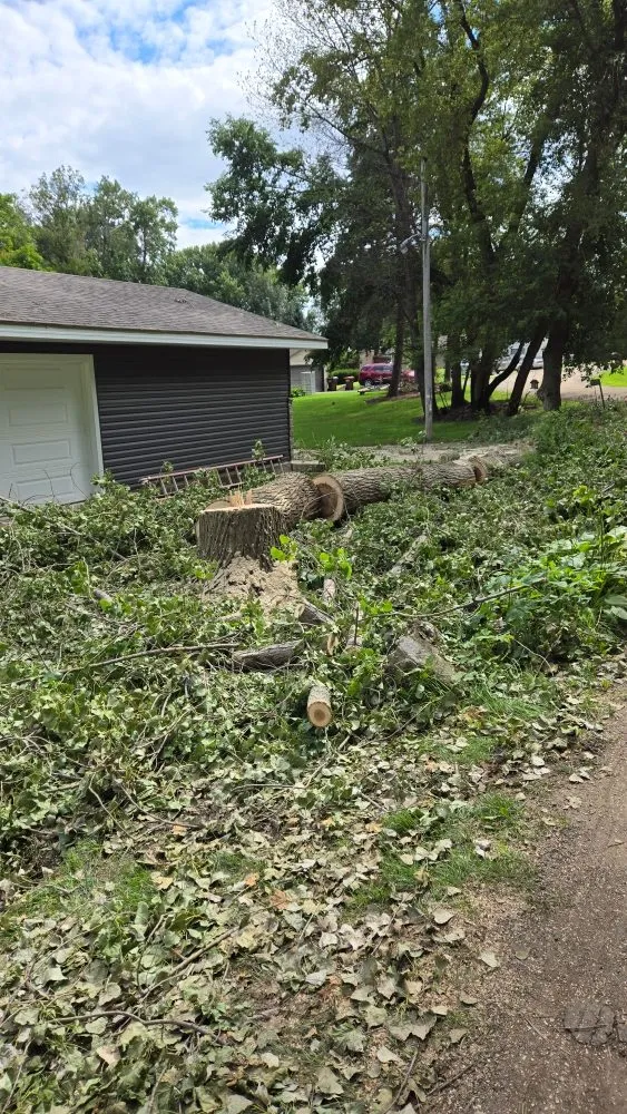 Professional outdoor landscaping experts serving Annandale, MN - Manke Outdoor Services