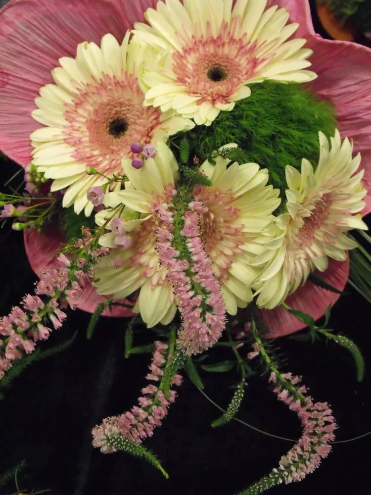 Reliable lawn care service in Abilene, TX by Mankin and Sons Gardens