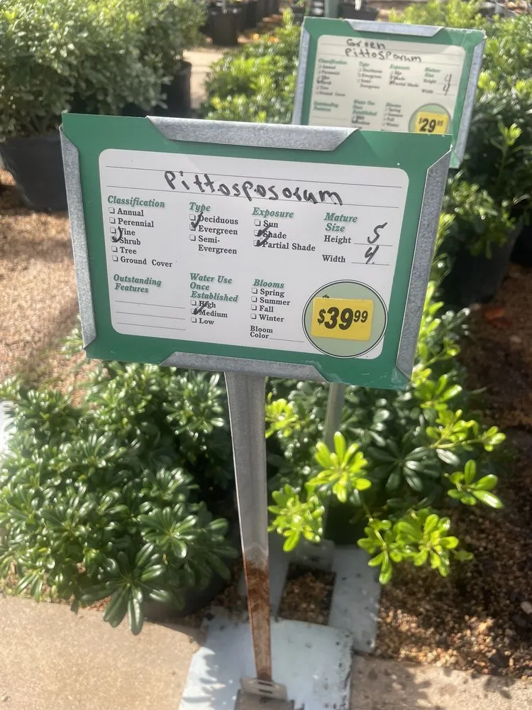 Custom lawn care service in Abilene, TX by Mankin and Sons Gardens