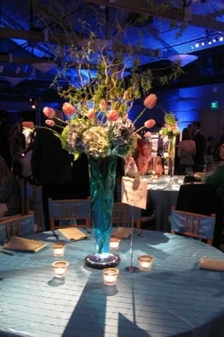 Expert outdoor landscaping for year-round maintenance across Abilene, TX - Mankin and Sons Gardens