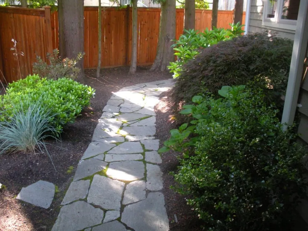 Custom yard cleanup service in Lynnwood, WA by Mann Landscaping Construction Services
