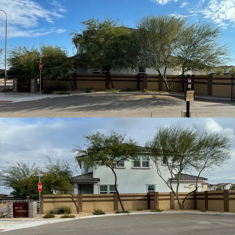 Professional landscape installation in Gilbert, AZ - Manna Turf and Tree