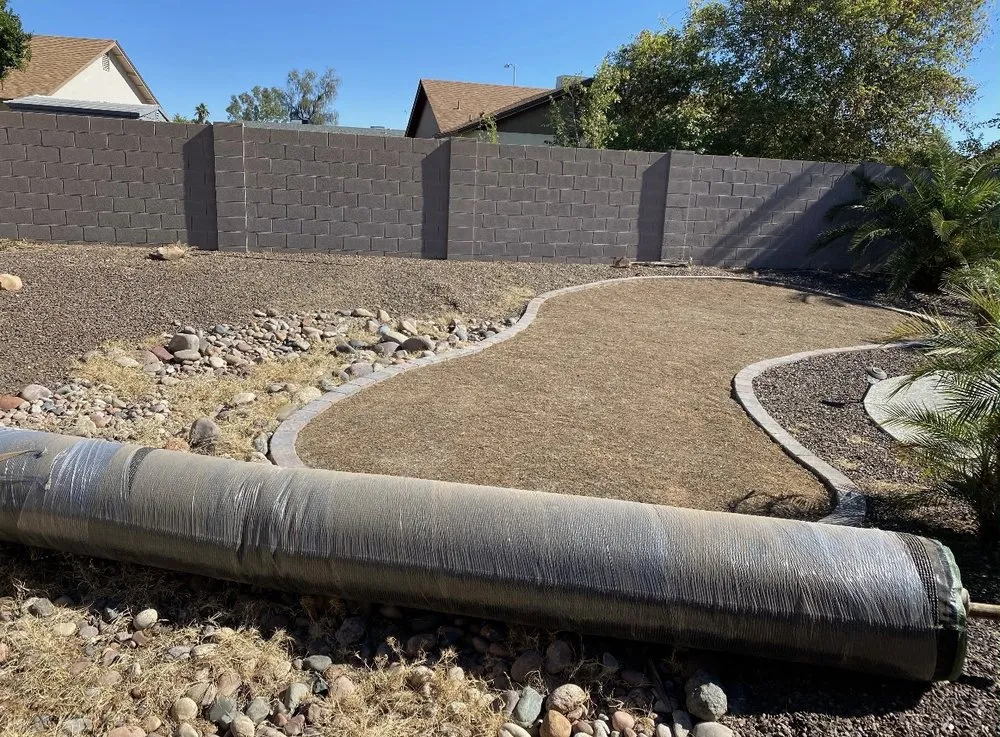 Trusted landscaping services in Gilbert, AZ by Manna Turf and Tree