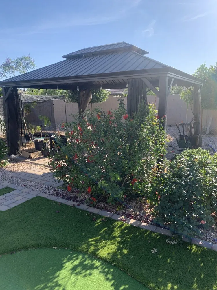 Affordable lawn mowing service in Gilbert, AZ - Manna Turf and Tree