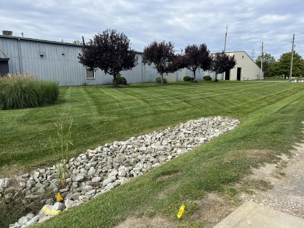 Expert yard cleanup service in New Castle, IN - Manning Lawn Care and Property Management