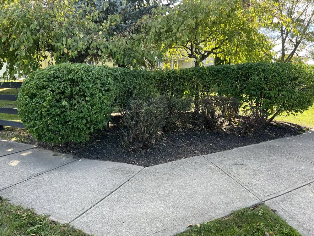 Affordable landscape installation experts serving New Castle, IN - Manning Lawn Care and Property Management