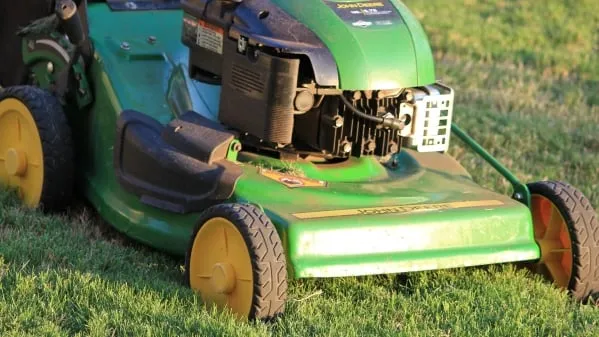 Trusted yard cleanup service for year-round maintenance across Sumter, SC - Manning Lawn Care