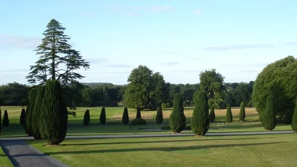 Trusted lawn mowing service in Sumter, SC by Manning Lawn Care