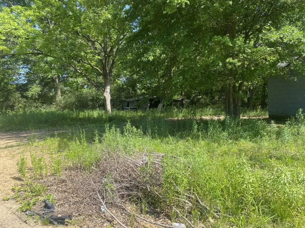 Reliable outdoor landscaping for residential properties across Jackson, MS - Manning Lawn Service