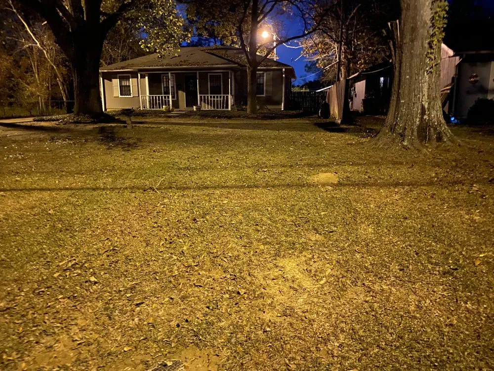 Affordable yard maintenance in Jackson, MS by Manning Lawn Service