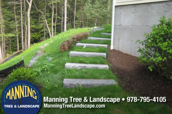 Affordable garden landscaping experts serving Acton, MA - Manning Tree & Landscape