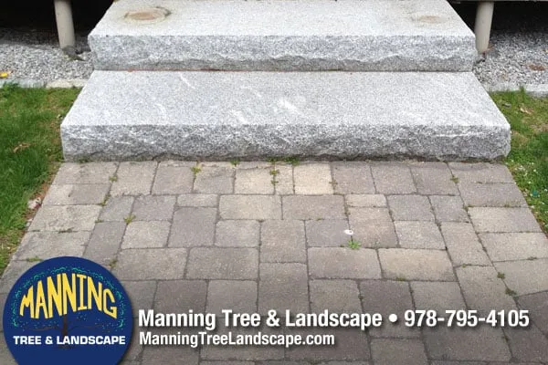 Top-rated yard maintenance for beautiful yards in Acton, MA by Manning Tree & Landscape