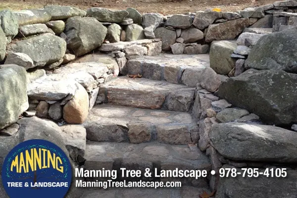Affordable lawn care service experts serving Acton, MA - Manning Tree & Landscape