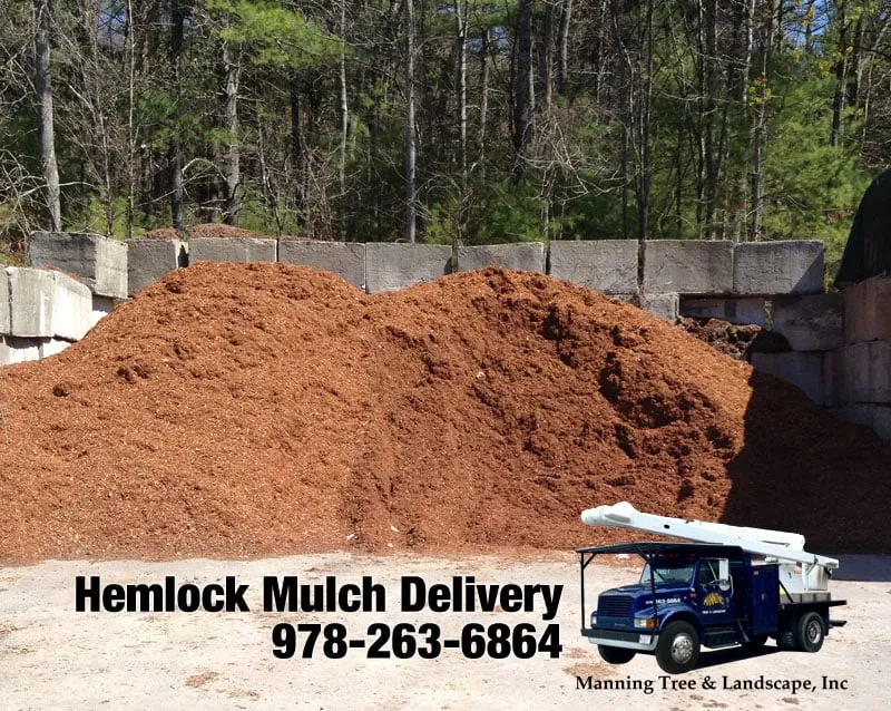 Local yard maintenance in Acton, MA by Manning Tree & Landscape