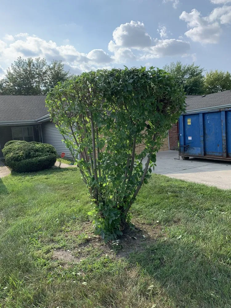 Trusted yard cleanup service in Hammond, IN by Manning's Landscaping