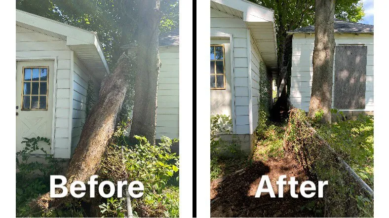 Local yard cleanup service in Mount Carmel, IL - Manning's Lawn Care