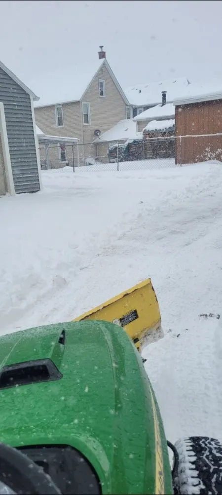 Reliable lawn care service in East Dubuque, IL by Mannly's Handyman Service