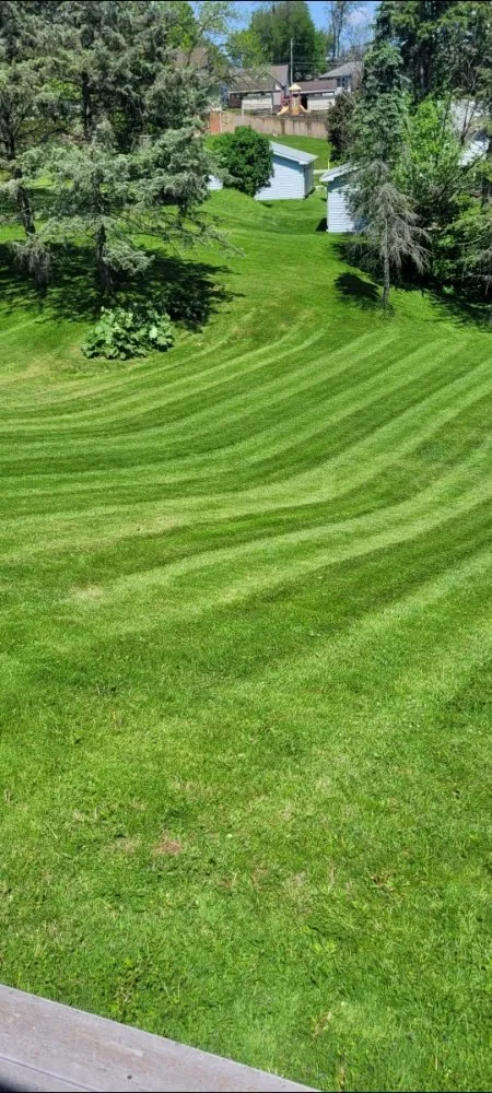 Affordable landscape design in East Dubuque, IL - Mannly's Handyman Service