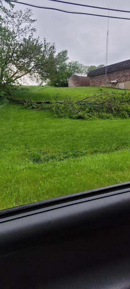 Professional landscaping services in East Dubuque, IL by Mannly's Handyman Service