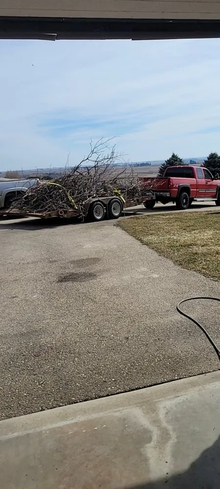 Top-rated landscape installation in East Dubuque, IL - Mannly's Handyman Service