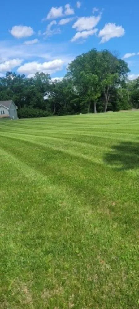 Trusted yard cleanup service in East Dubuque, IL - Mannly's Handyman Service