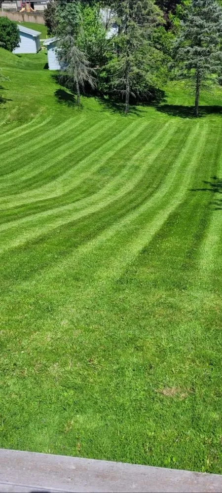 Affordable residential landscaping in East Dubuque, IL - Mannly's Handyman Service