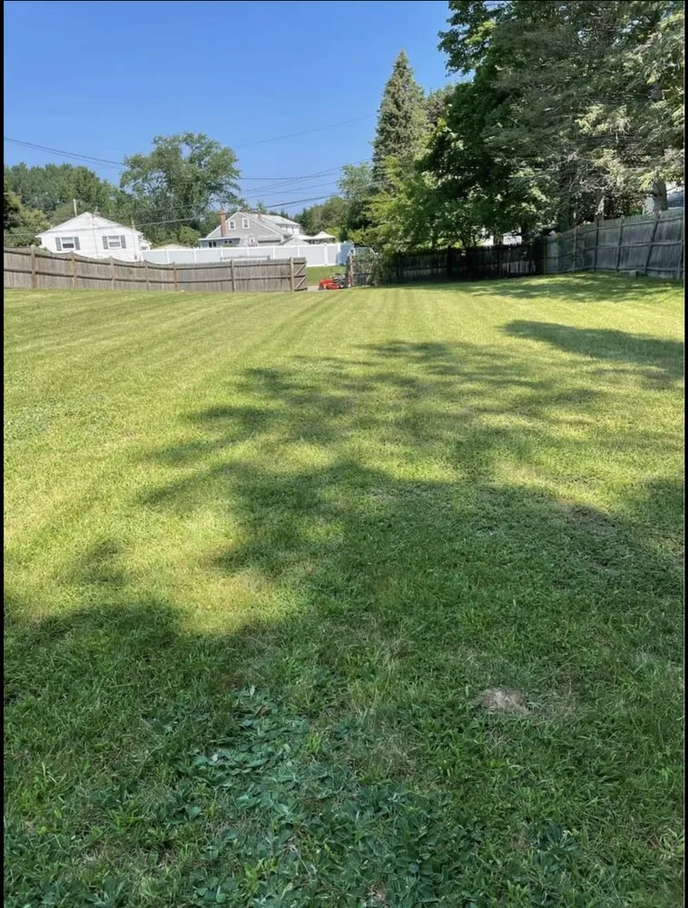 Top-rated yard cleanup service in Everett, MA by Mannny’s Landscaping Services